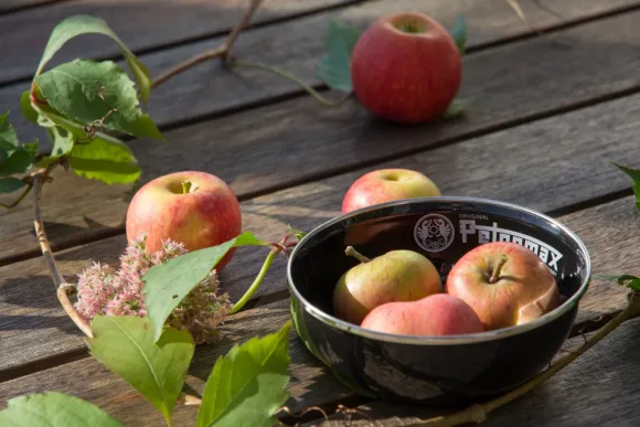 Petromax Enamel Bowls 600 ml Black 2-pack