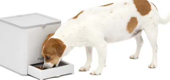 PetSafe Teach & Treat Remote Reward Trainer kauko-ohjattava palkitsemislaite