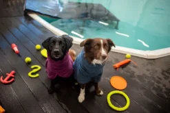 Pomppa BathPomppa Midnight 52-56 cm