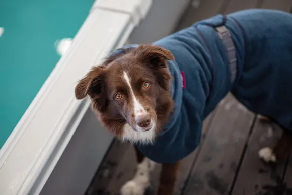 Pomppa BathPomppa Midnight 70-75 cm