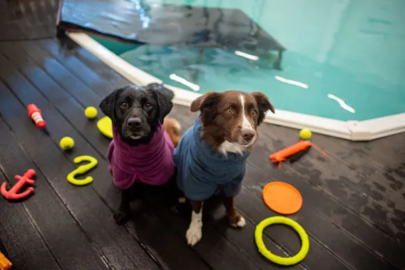 Pomppa BathPomppa Midnight 44-48 cm