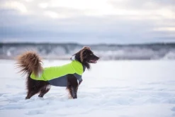 Pomppa JumppaPomppa koiran fleecetakki, 37 - 40 cm, Lime