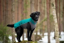 Pomppa JumppaPomppa koirantakki, 60-65 cm, Forest