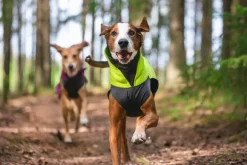 Pomppa JumppaPomppa koiran fleecetakki, 52 - 56 cm, Lime