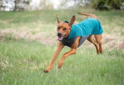 Pomppa JumppaPomppa koirantakki, 52-56 cm, Forest