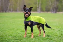 Pomppa JumppaPomppa koiran fleecetakki, 25 - 28 cm, Lime