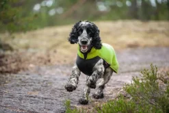 Pomppa JumppaPomppa koiran fleecetakki, 25 - 28 cm, Lime