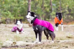 Pomppa JumppaPomppa koiran fleecetakki, 37 - 40 cm, punavioletti