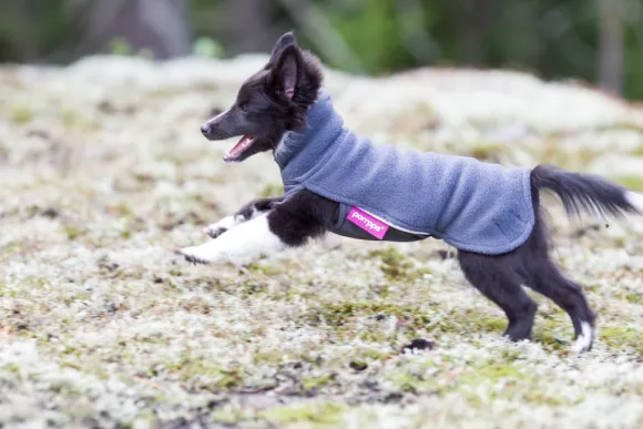 Pomppa JumppaPomppa koiran fleecetakki, 52 - 56 cm, harmaa