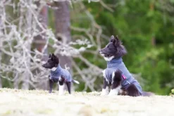 Pomppa JumppaPomppa koiran fleecetakki, 25 - 28 cm, harmaa