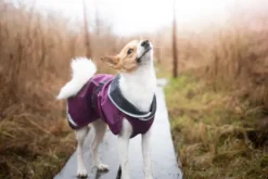 Pomppa KevytPomppa koiran välikausitakki, 31 - 34 cm, punavioletti