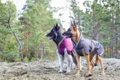 Pomppa KevytPomppa koiran välikausitakki, 31-34 cm, harmaa