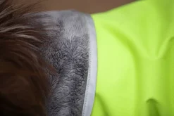 Pomppa KevytPomppa koiran välikausitakki, 31 - 34 cm, Lime