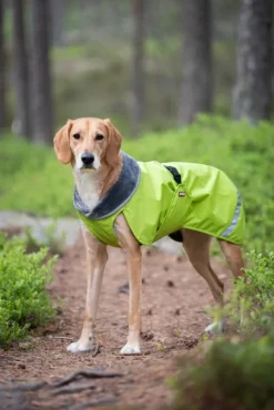 Pomppa KevytPomppa koiran välikausitakki, 31 - 34 cm, Lime