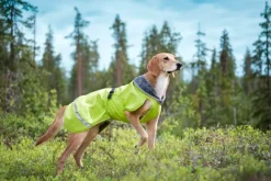 Pomppa KevytPomppa koiran välikausitakki, 37 - 40 cm, Lime