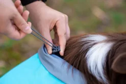 Pomppa KuoriPomppa koiran sadetakki, 31-34 cm, Arctic