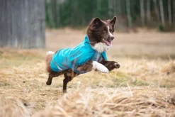 Pomppa KuoriPomppa koiran sadetakki, 31-34 cm, Arctic