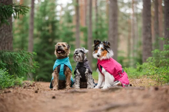 Pomppa KuoriPomppa koiran sadetakki, 31-34 cm, Arctic