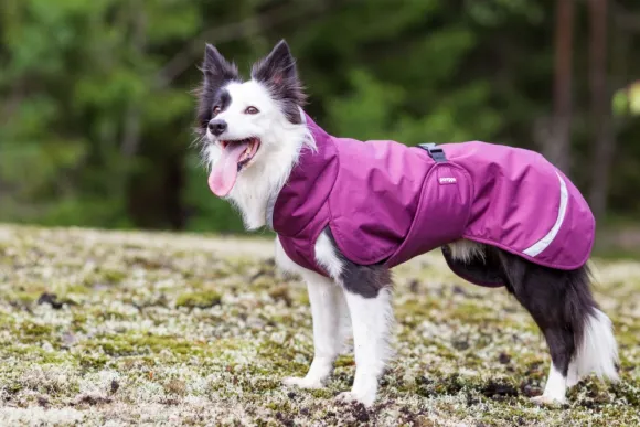 Pomppa PerusPomppa koirantakki, 31-34 cm, Plum