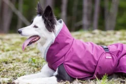 Pomppa PerusPomppa koirantakki, 31-34 cm, Plum