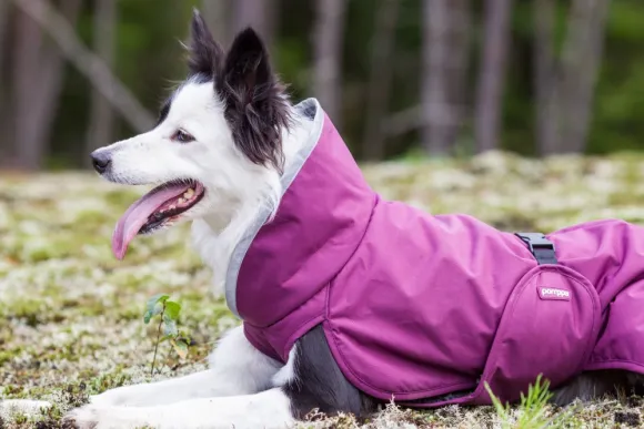 Pomppa PerusPomppa koirantakki, 31-34 cm, Plum