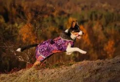 Pomppa PerusPomppa koirien talvitakki, 44 - 48 cm, Cosmos