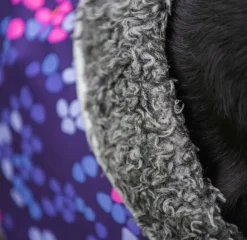 Pomppa PerusPomppa koirien talvitakki, 60 - 65 cm, Cosmos