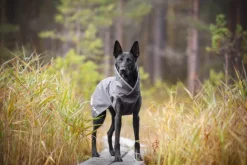 Pomppa SadePomppa koiran sadetakki, 31 - 34 cm, harmaa