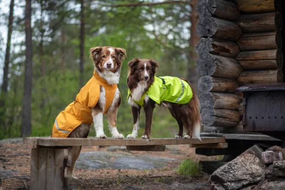 Pomppa SadePomppa koiran sadetakki, 31 - 34 cm, Lime