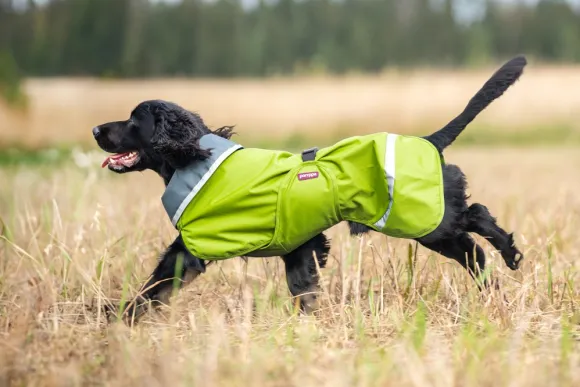 Pomppa SadePomppa koiran sadetakki, 37 - 40 cm, Lime