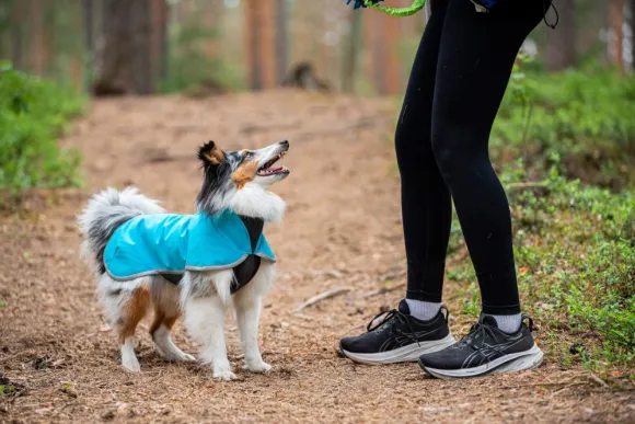 Pomppa SporttiPomppa koirantakki, 60 cm, Arctic