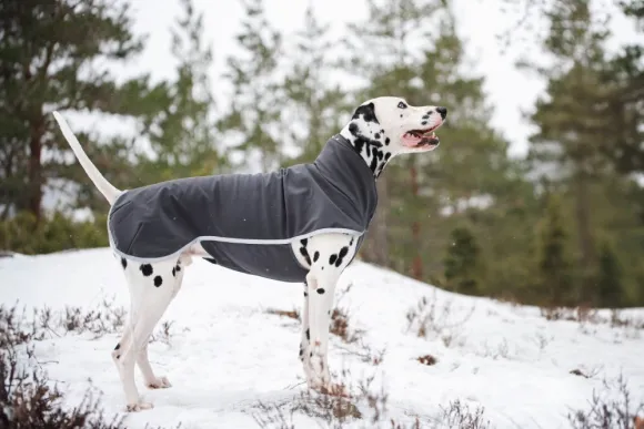 Pomppa SporttiPomppa koirantakki, 31-34 cm, Graphite