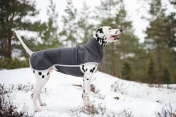 Pomppa SporttiPomppa koirantakki, 60-65 cm, Graphite