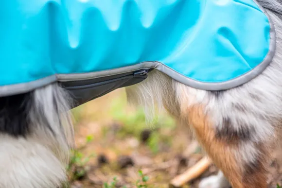 Pomppa SporttiPomppa koirantakki, 52-56 cm, Arctic