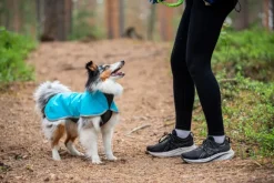 Pomppa SporttiPomppa koirantakki, 31-34 cm, Arctic