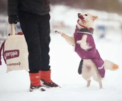 Pomppa ToppaPomppa koiran talvitakki, 37-40 cm, Plum