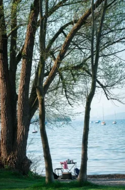 Primus Campfire Table