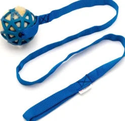 Psarvard Azur sininen koiranlelu