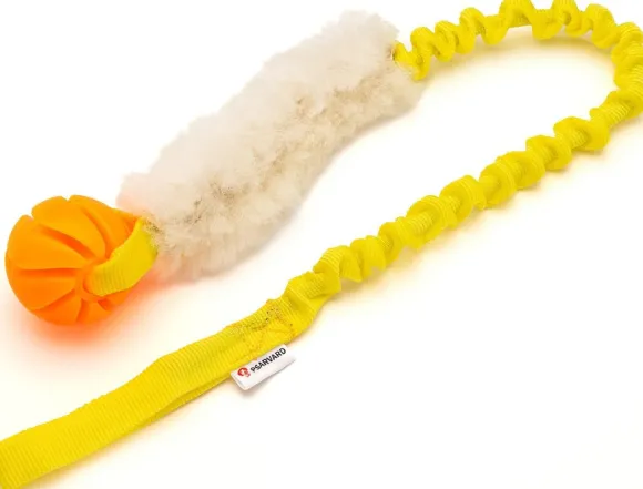 Psarvard Tika koiralelu pallo, keltainen