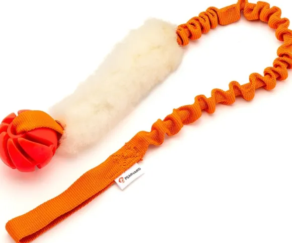 Psarvard Tika koiralelu pallo, oranssi