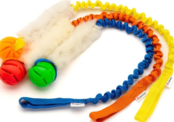 Psarvard Tika koiralelu pallo, oranssi