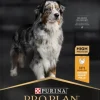 Purina PRO PLAN Medium & Large Adult 7+ AGE DEFENSE 14kg