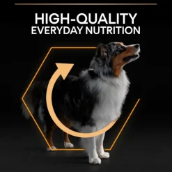 Purina PRO PLAN Medium Adult Everyday Nutrition 14 kg