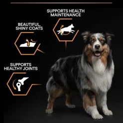 Purina PRO PLAN Medium Adult Everyday Nutrition 14 kg