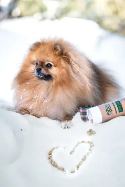 Raw for Paw Wild Duck makupalat