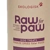 Raw for Paw Wild Reindeer