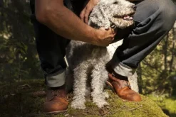 Red Wing Blacksmith kengät, Copper Rough & Tough