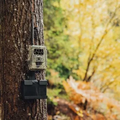 Riistakameran puukiinnike + Burrel Battery Holder -akkuteline