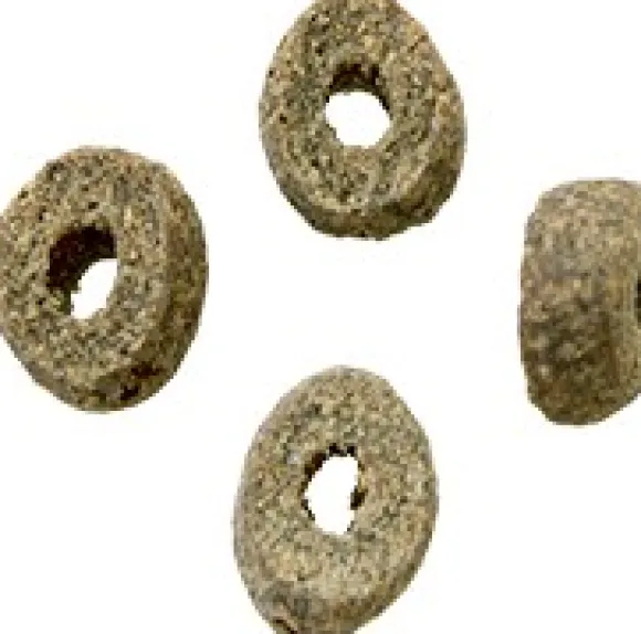 Robur Adult Maintenance 13 kg