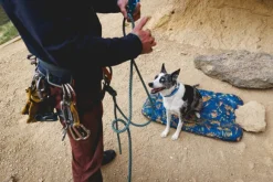 RuffWear Basecamp Bed koiranpeti, Medium, Deep Jungle